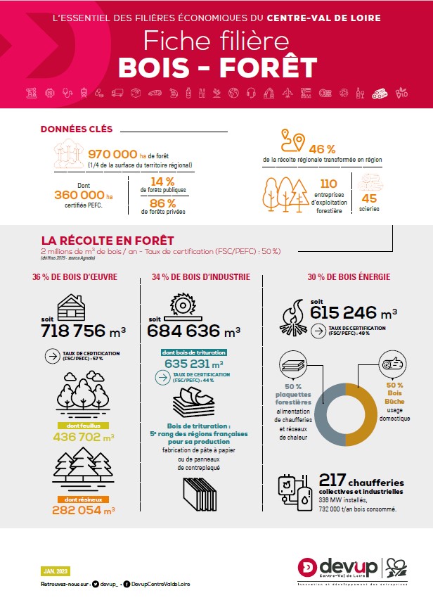 Infographie Bois-Forêt