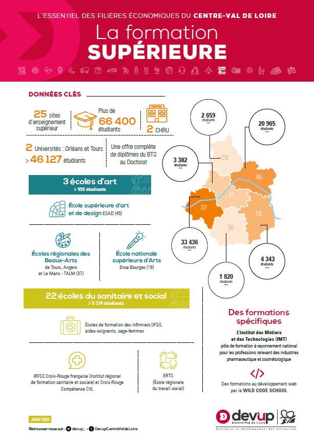 Infographie formation supérieure