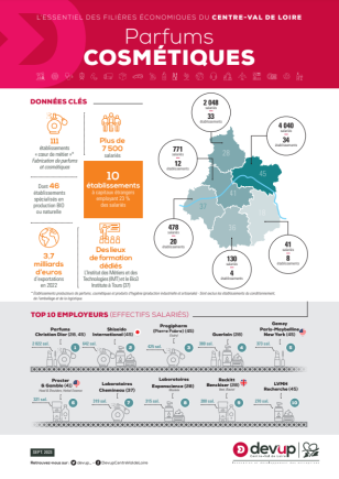 Infographie Parfums-Cosmétiques