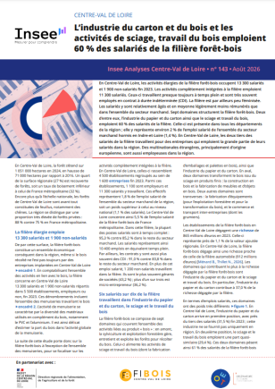 L’industrie du carton et du bois et les activités de sciage, travail du bois emploient 60 % des salariés de la filière forêt-bois